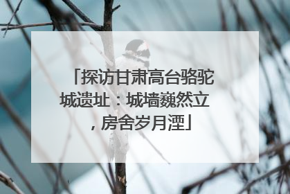 探访甘肃高台骆驼城遗址：城墙巍然立，房舍岁月湮