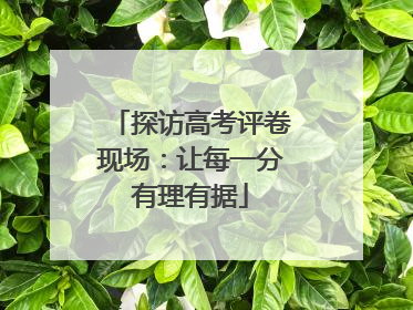 探访高考评卷现场：让每一分有理有据