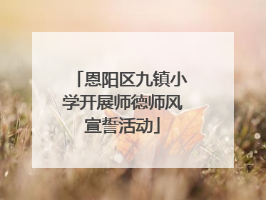 恩阳区九镇小学开展师德师风宣誓活动