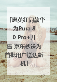惠英红同款华为Pura 80 Pro+开售 京东秒送为首批用户送达新机