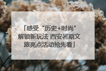 感受“历史+时尚” 解锁新玩法 西安暑期文旅亮点活动抢先看