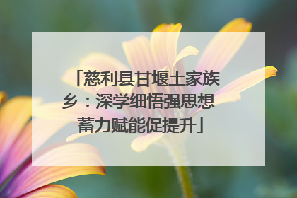慈利县甘堰土家族乡：深学细悟强思想 蓄力赋能促提升