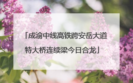 成渝中线高铁跨安岳大道特大桥连续梁今日合龙