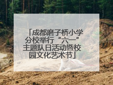 成都磨子桥小学分校举行“六一”主题队日活动暨校园文化艺术节