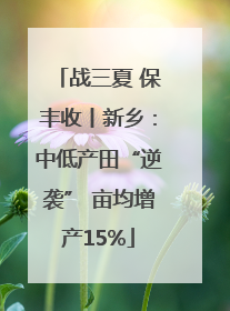 战三夏 保丰收丨新乡：中低产田“逆袭” 亩均增产15%