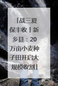 战三夏 保丰收丨新乡县：20万亩小麦种子田开启大规模收割