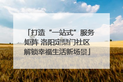 打造“一站式”服务矩阵 洛阳定鼎门社区解锁幸福生活新场景