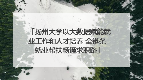 扬州大学以大数据赋能就业工作和人才培养 全链条就业帮扶畅通求职路
