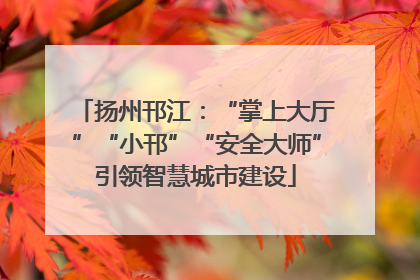 扬州邗江：“掌上大厅”“小邗”“安全大师”引领智慧城市建设