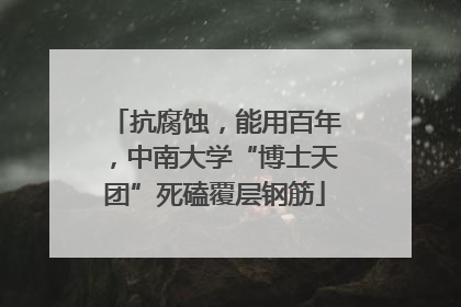 抗腐蚀，能用百年，中南大学“博士天团”死磕覆层钢筋