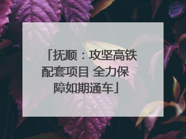 抚顺：攻坚高铁配套项目 全力保障如期通车