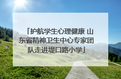 护航学生心理健康 山东省精神卫生中心专家团队走进堤口路小学