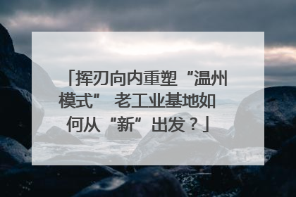 挥刃向内重塑“温州模式” 老工业基地如何从“新”出发？