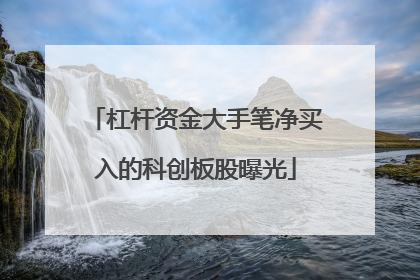 杠杆资金大手笔净买入的科创板股曝光