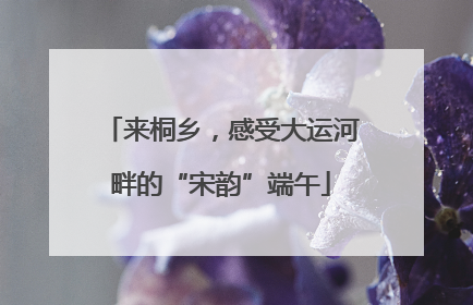 来桐乡，感受大运河畔的“宋韵”端午