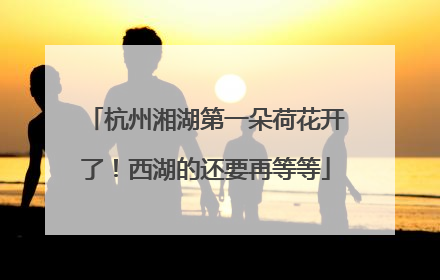 杭州湘湖第一朵荷花开了！西湖的还要再等等
