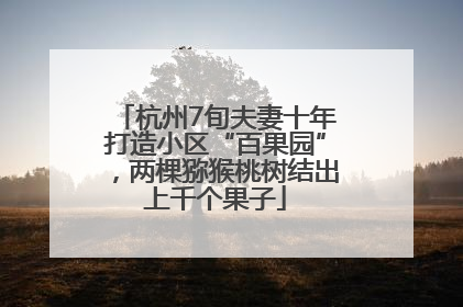 杭州7旬夫妻十年打造小区“百果园”，两棵猕猴桃树结出上千个果子