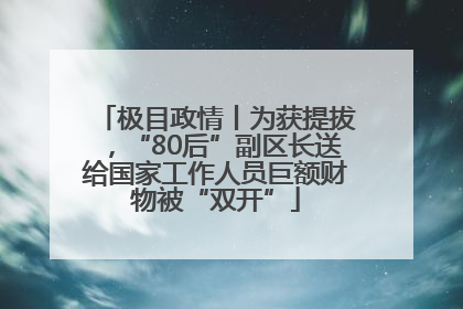 极目政情丨为获提拔，“80后”副区长送给国家工作人员巨额财物被“双开”
