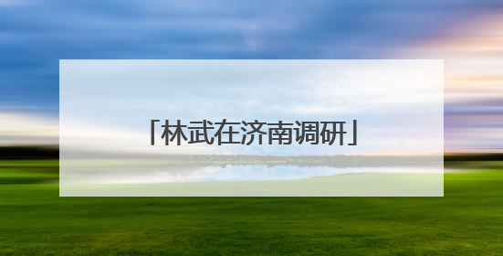 林武在济南调研