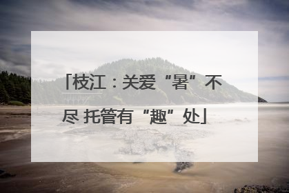 枝江：关爱“暑”不尽 托管有“趣”处