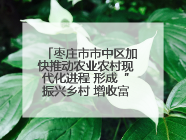 枣庄市市中区加快推动农业农村现代化进程 形成“振兴乡村 增收富农”新格局