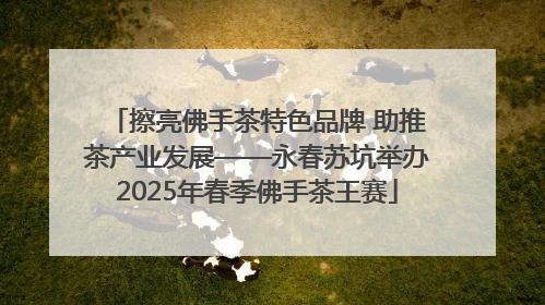擦亮佛手茶特色品牌 助推茶产业发展——永春苏坑举办2025年春季佛手茶王赛