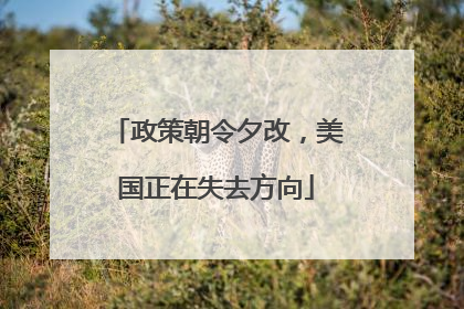 政策朝令夕改，美国正在失去方向