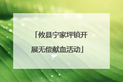 攸县宁家坪镇开展无偿献血活动