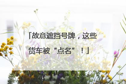 故意遮挡号牌，这些货车被“点名”！