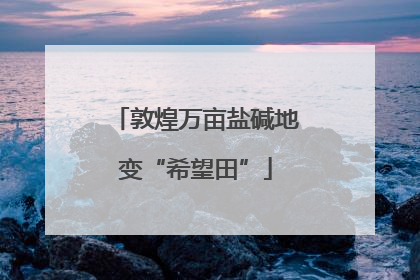 敦煌万亩盐碱地变“希望田”