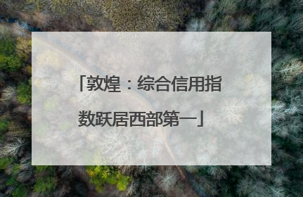 敦煌：综合信用指数跃居西部第一