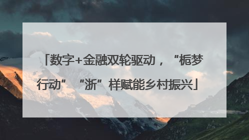 数字+金融双轮驱动，“栀梦行动”“浙”样赋能乡村振兴