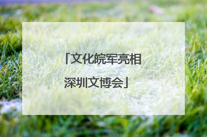文化皖军亮相深圳文博会