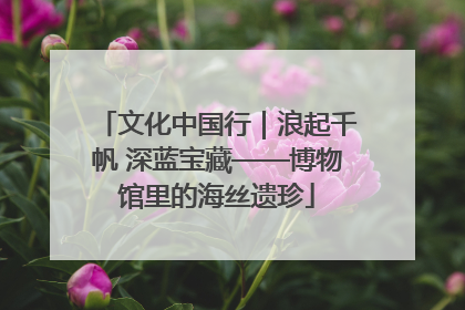 文化中国行｜浪起千帆 深蓝宝藏——博物馆里的海丝遗珍
