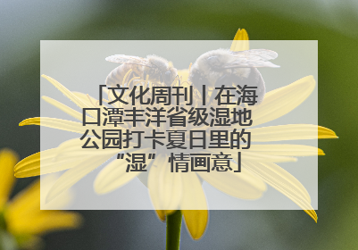 文化周刊丨在海口潭丰洋省级湿地公园打卡夏日里的“湿”情画意