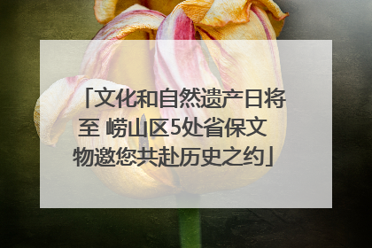 文化和自然遗产日将至 崂山区5处省保文物邀您共赴历史之约
