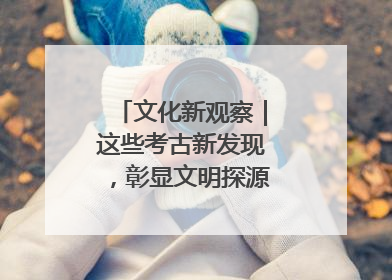 文化新观察｜这些考古新发现，彰显文明探源中的科技力量