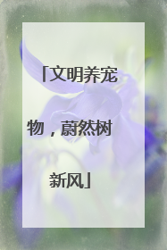 文明养宠物，蔚然树新风