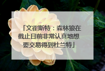 文霍斯特：森林狼在截止日前非常认真地想要交易得到杜兰特