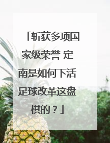 斩获多项国家级荣誉 定南是如何下活足球改革这盘棋的？