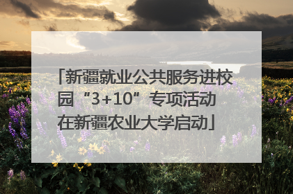 新疆就业公共服务进校园“3+10”专项活动在新疆农业大学启动
