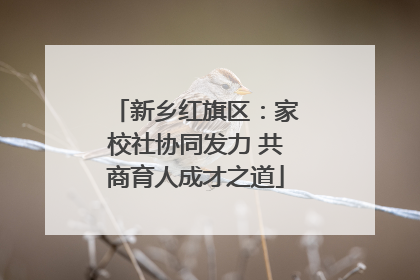 新乡红旗区：家校社协同发力 共商育人成才之道