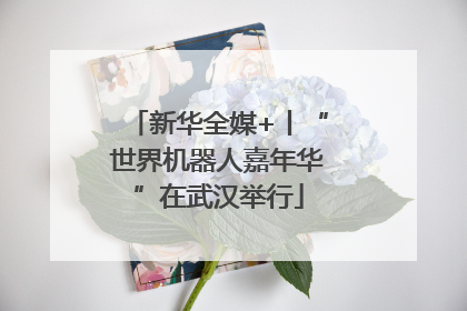新华全媒+丨“世界机器人嘉年华”在武汉举行