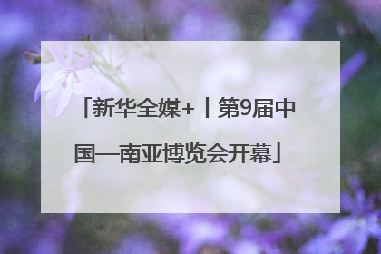 新华全媒+丨第9届中国—南亚博览会开幕