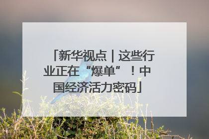 新华视点｜这些行业正在“爆单”！中国经济活力密码