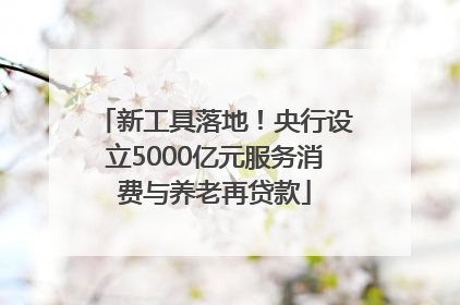 新工具落地！央行设立5000亿元服务消费与养老再贷款