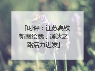 时评：江苏高铁新图绘就，通达之路活力迸发