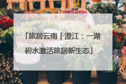 旅居云南｜澄江：一湖碧水激活旅居新生态