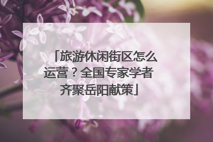 旅游休闲街区怎么运营？全国专家学者齐聚岳阳献策