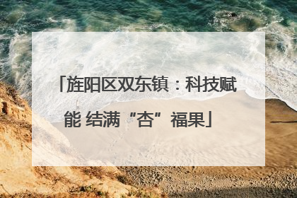 旌阳区双东镇：科技赋能 结满“杏”福果